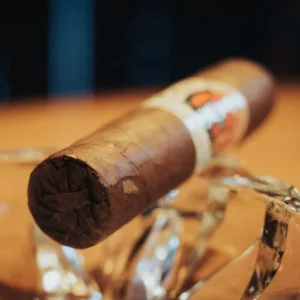 Vegas de Santiago D8 Corto